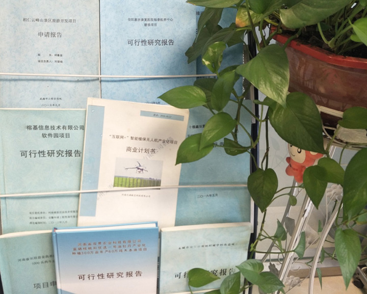 林芝市全链条建材可行性研究(全链条建材可行性研究方案)