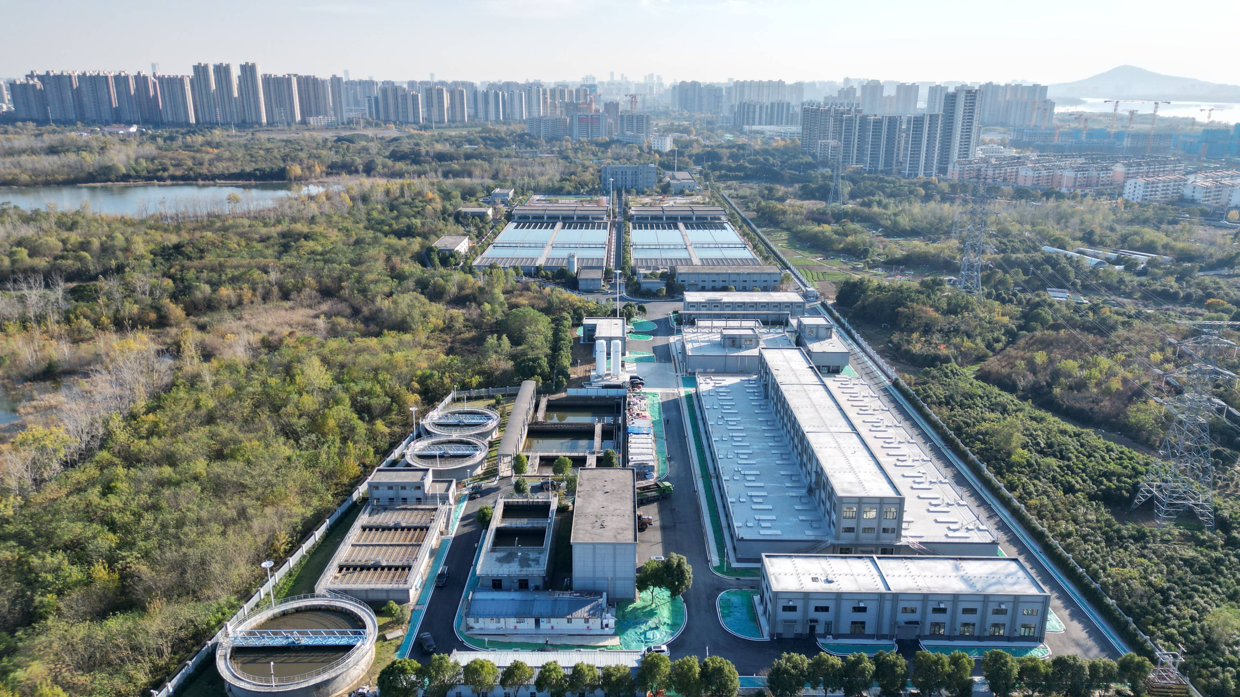 林芝市合肥专业企业价值增长(合肥市重点企业产业目录)