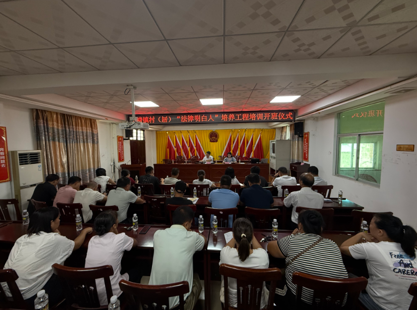 林芝市海口专业法务咨询(海南法之道法务咨询有限公司)