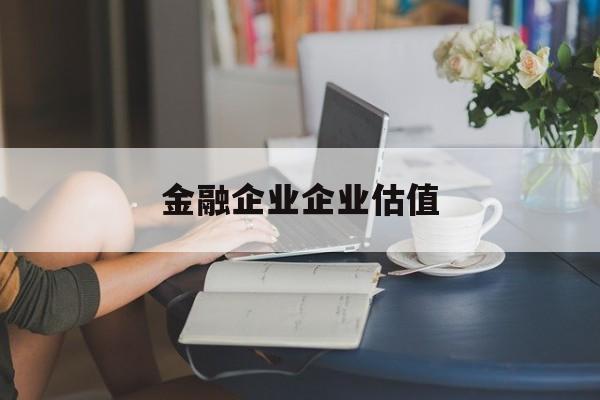 林芝市金融企业企业估值(最新企业估值怎么填)